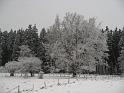 Winter 102